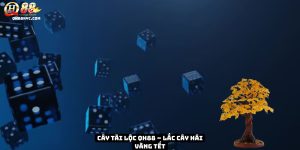 Cây tài lộc QH88